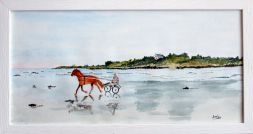 Trot sur la plage